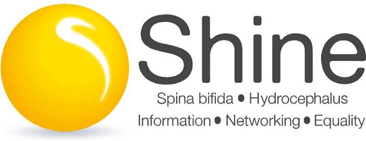 Shine logo